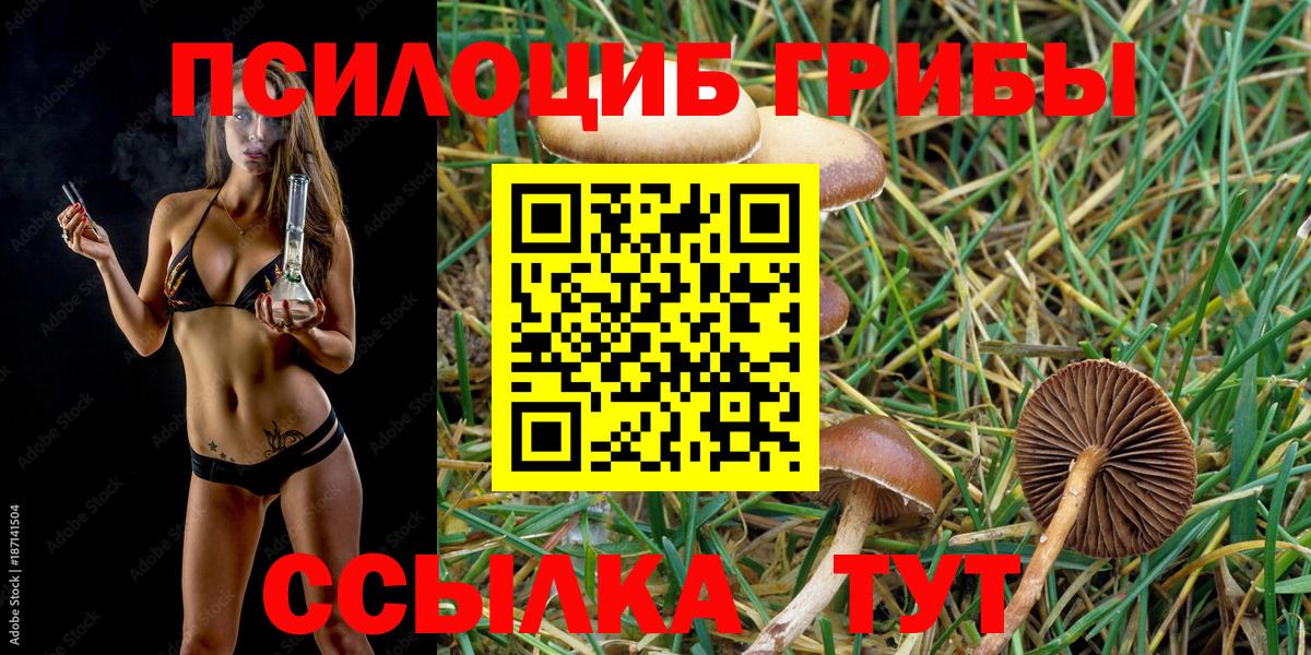Галлюциногенные грибы мицелий Обнинск