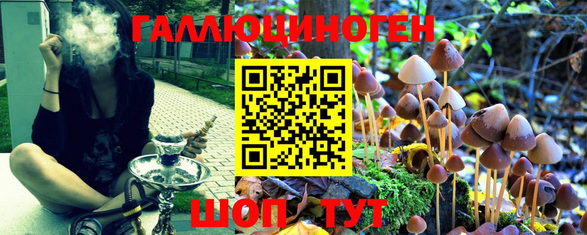 Псилоцибиновые грибы MAGIC MUSHROOMS  Вход с VPN  Обнинск  Галлюциногенные грибы Psilocybe 